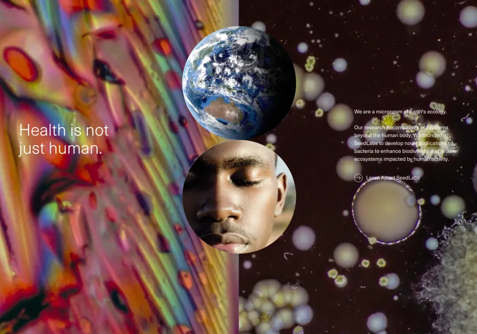 브랜드 레퍼런스 이미지 1